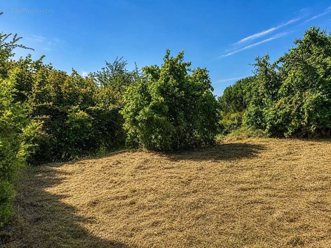 Maison T5 - 160 m2 - vue dégagée - photo 20