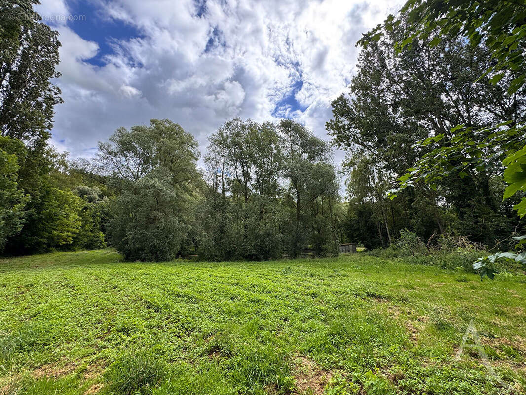 Étang - 9672 m² de nature à 20 min d'amiens - photo 3