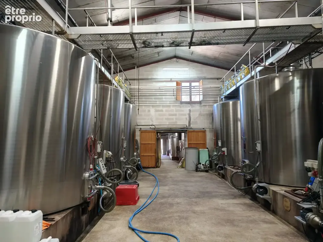 Propriété viticole avec maison, dépendances et vignoble ! - photo 17