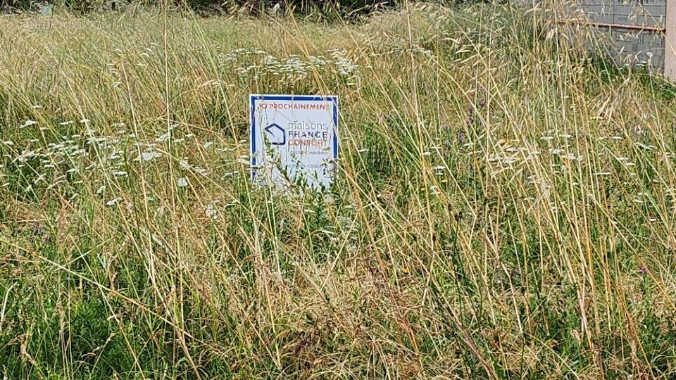 Terrain à TOURNEFEUILLE