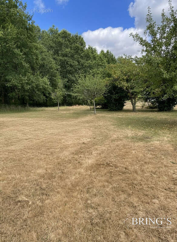 Maison 75 m² à Longny-Au-Perche  - photo 5