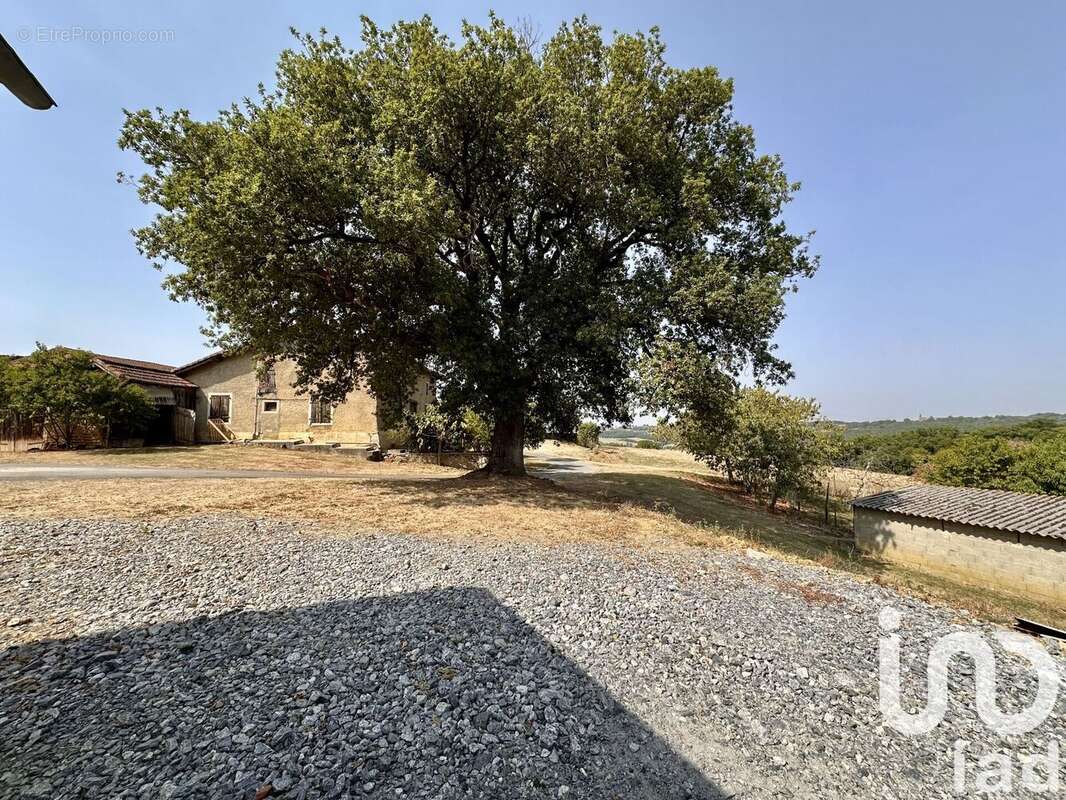 Maison 300 m² à Peyrusse-Vieille  - photo 8