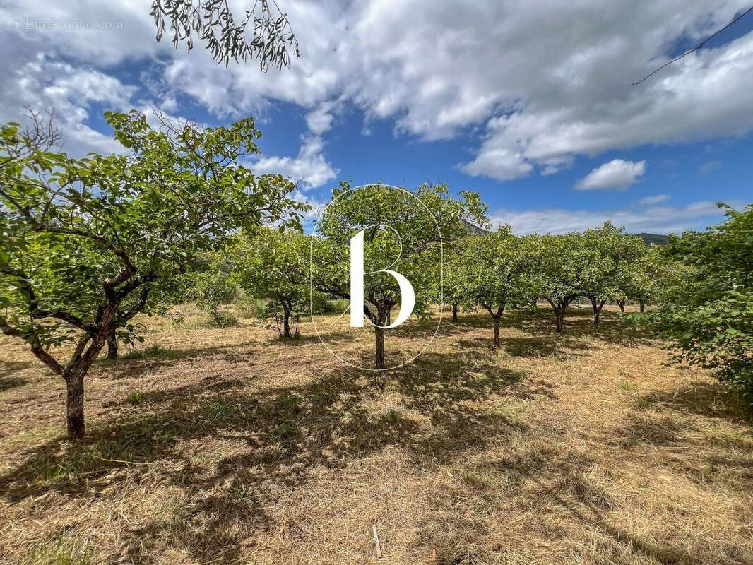 Maison à VALLON-PONT-D'ARC