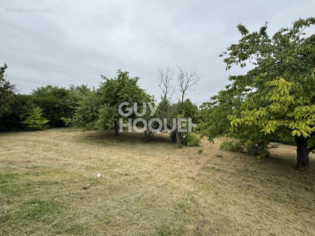 Maison Broussy Le Grand - photo 11