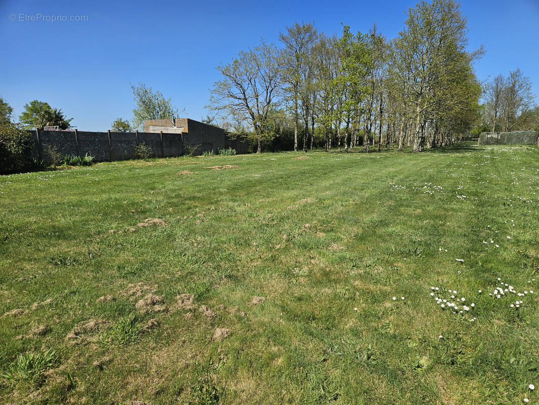 Terrain à BOURGNEUF-EN-RETZ