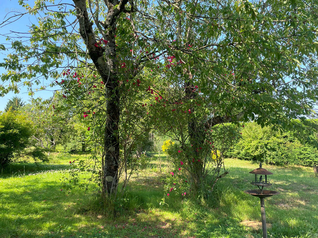 A proximité immédiate de la Voie  Verte - photo 17