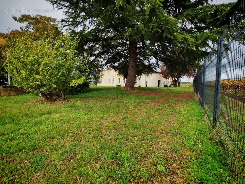 Maison à SAINT-EMILION