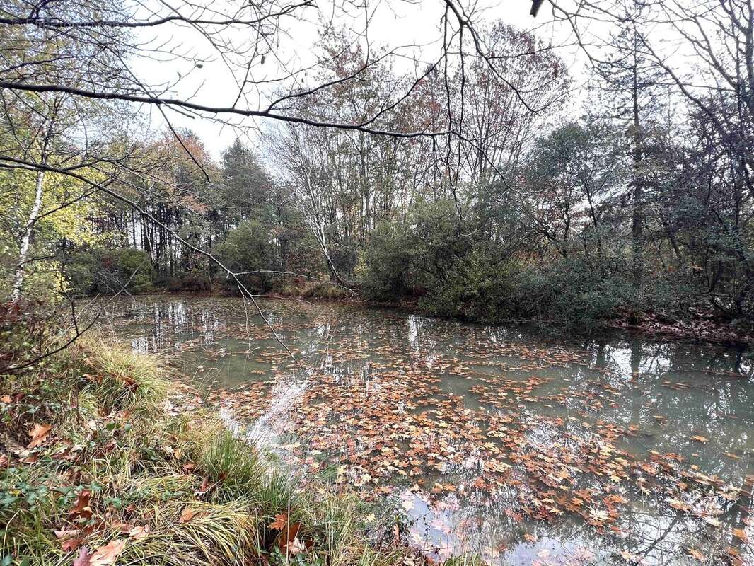 Terrain à CONFOLENS