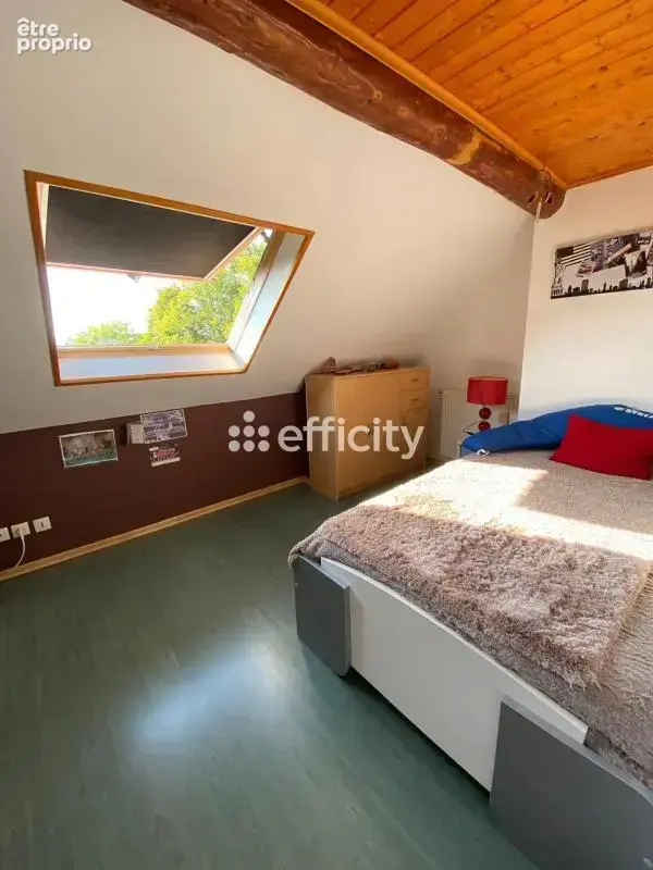 Maison 13 pièces 236 m² à vendre à Saint-Laurent-Du-Pont (38380) - photo 7