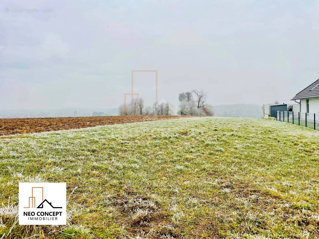 Terrain à FORSTHEIM