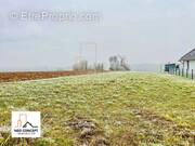 Terrain à FORSTHEIM