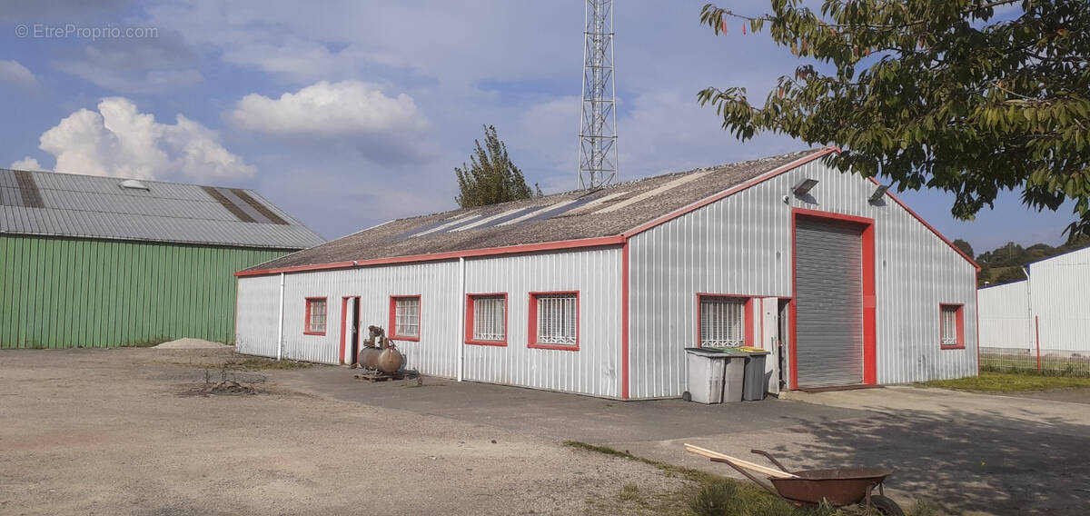 Commerce à SAINT-MARTIN-DE-LA-LIEUE