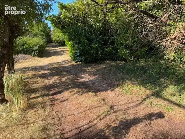 5 848 m2 constructibles-une grande maison- PLATEAU DU LARZAC : 1h de Montpellier - photo 21