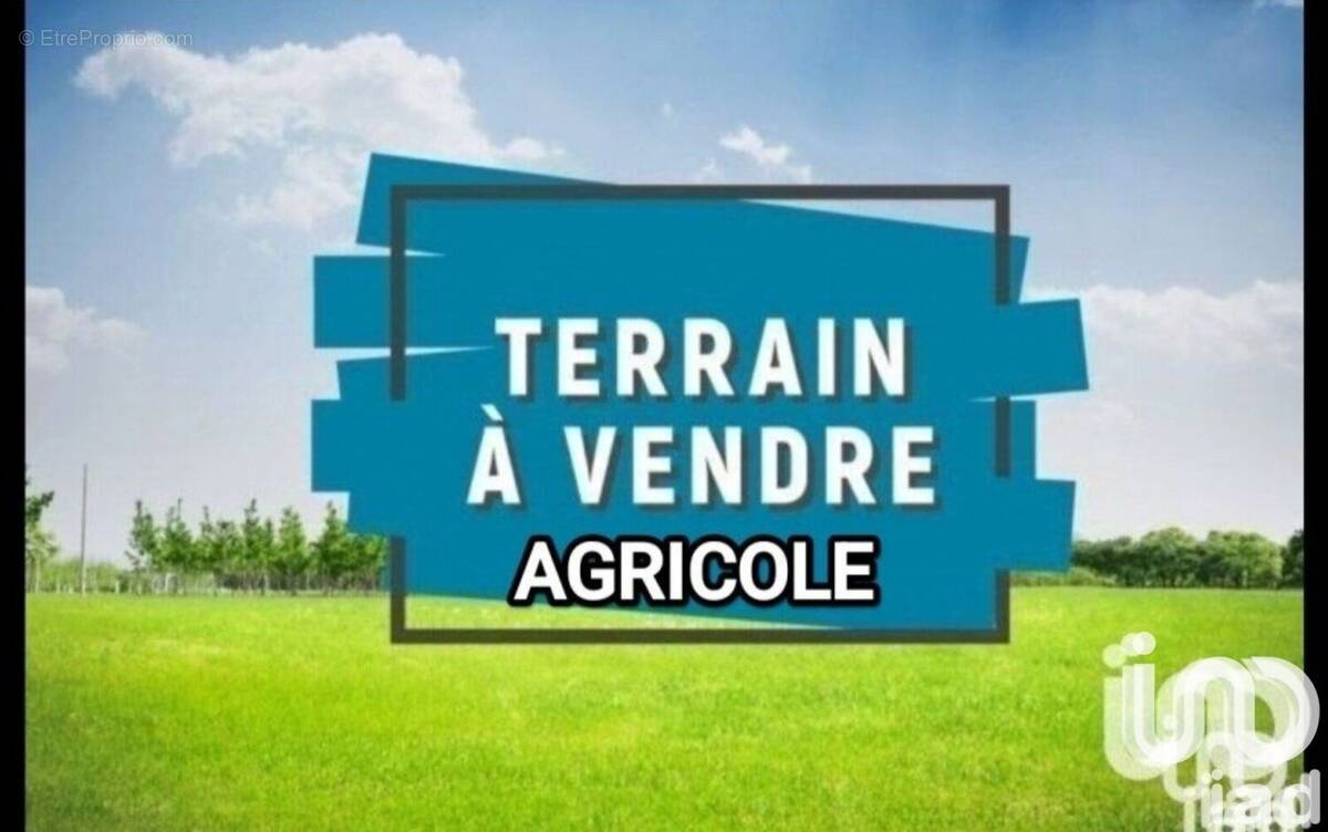 Photo 1 - Terrain à SALSES-LE-CHATEAU
