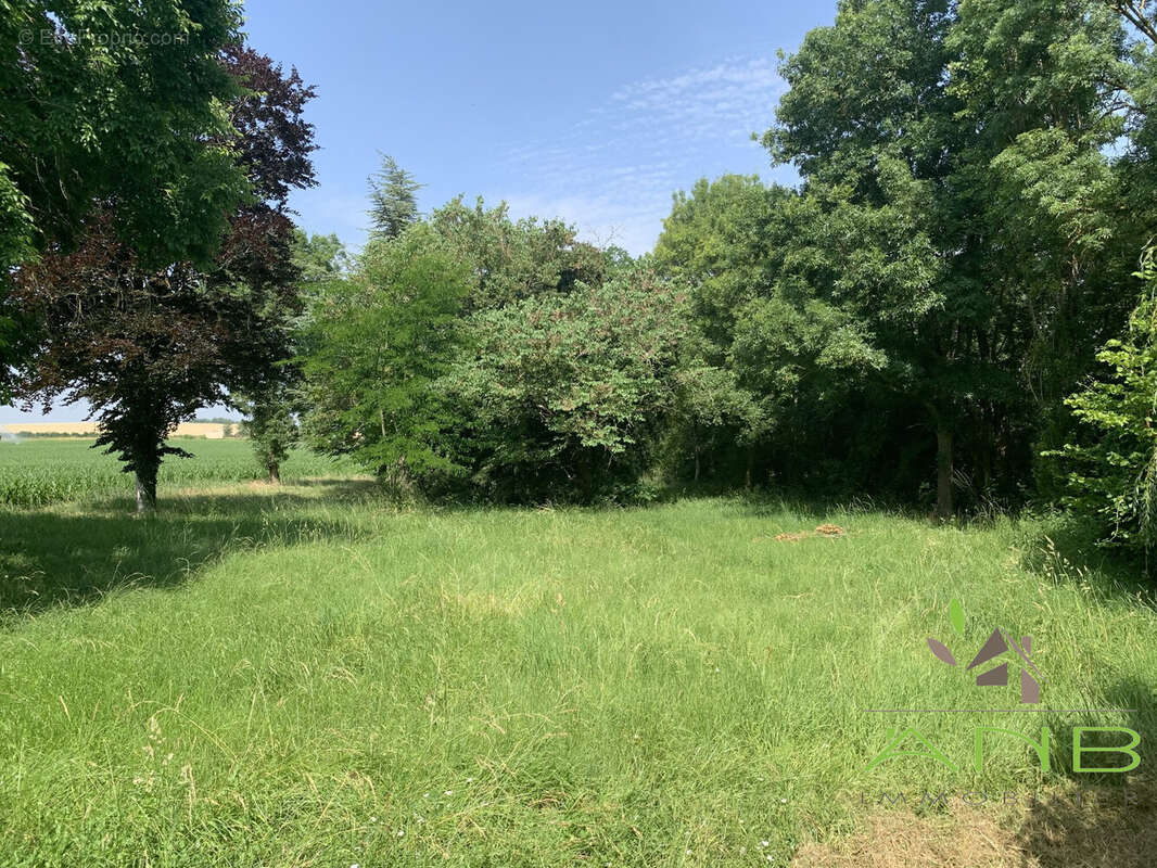 Maison à CHAMPNIERS