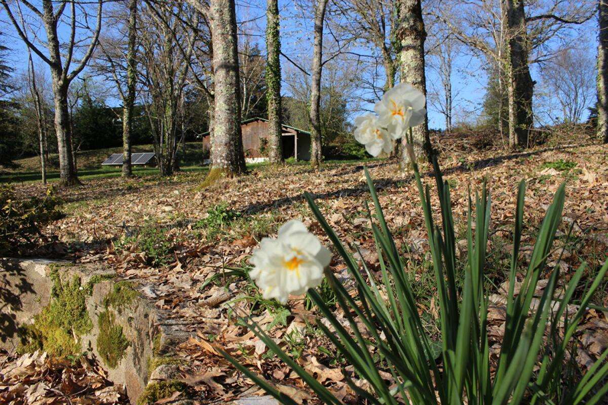 Maison avec 2 étangs de pêches  et de reproduction (aux normes) dans une propriété  fermée, idéale gîte - photo 6
