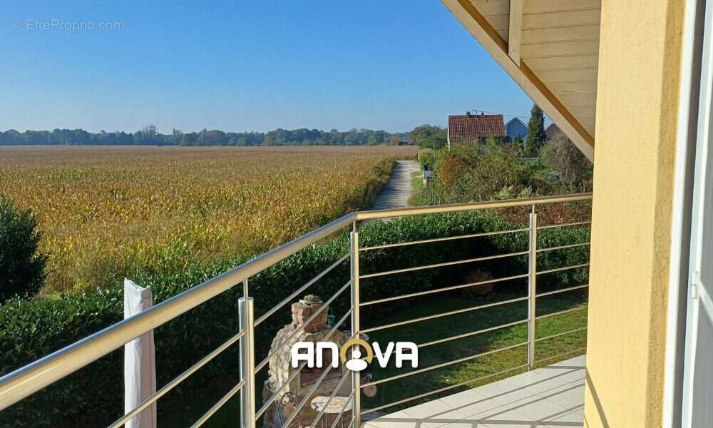 Maison à SESSENHEIM