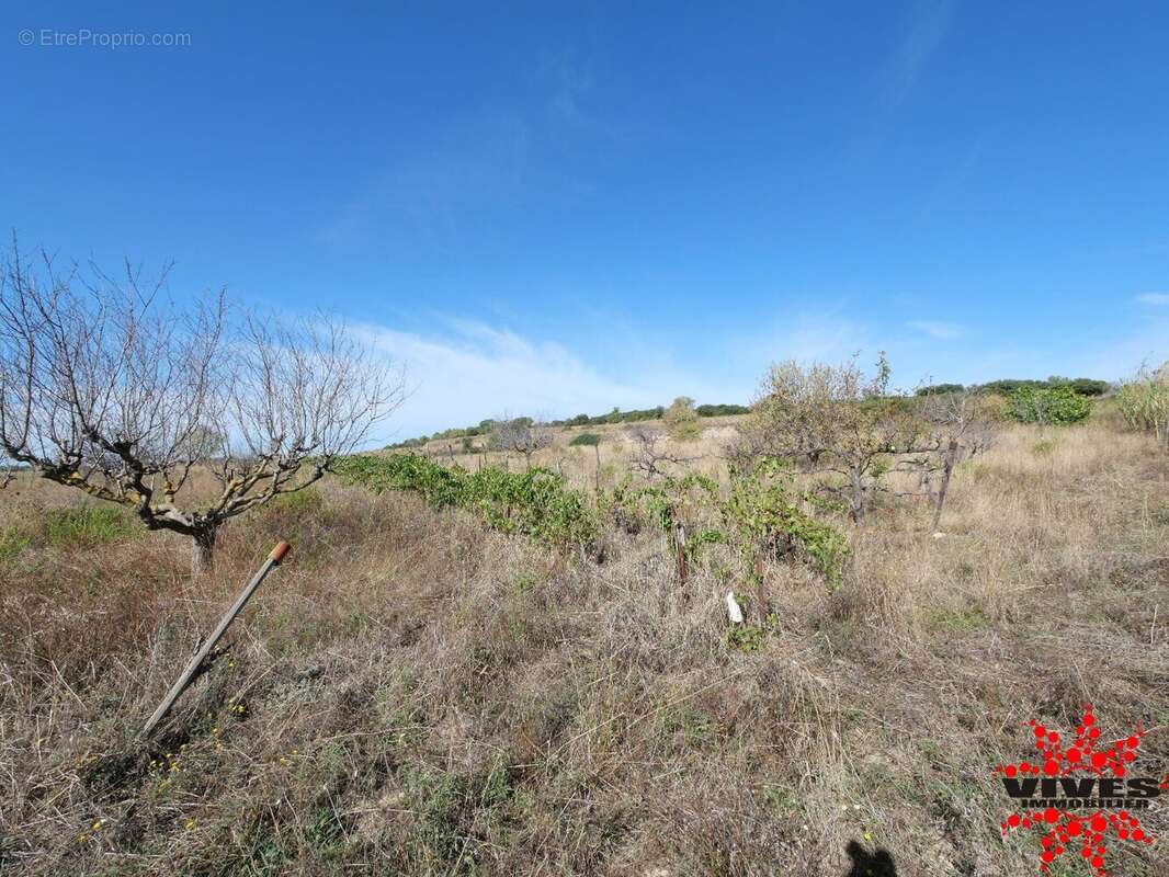 Terrain agricole de 5075 m² - photo 2