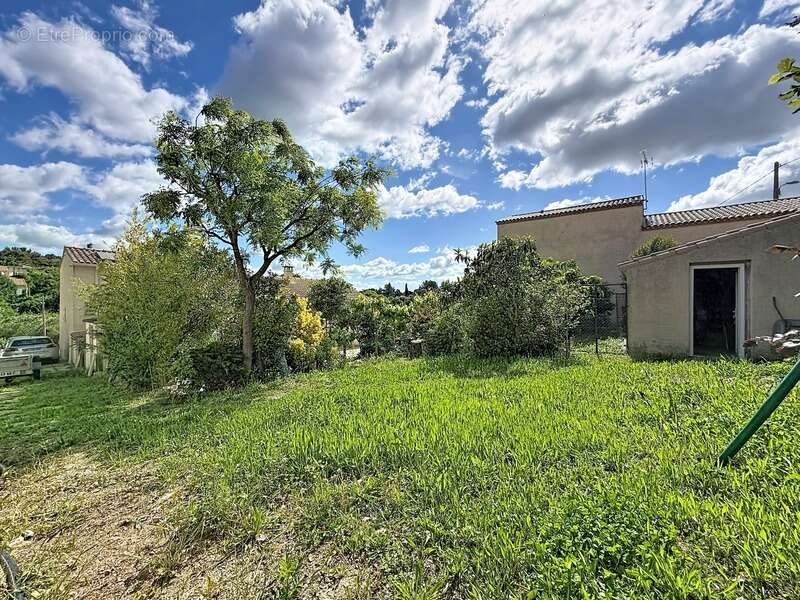 Maison à MURVIEL-LES-MONTPELLIER
