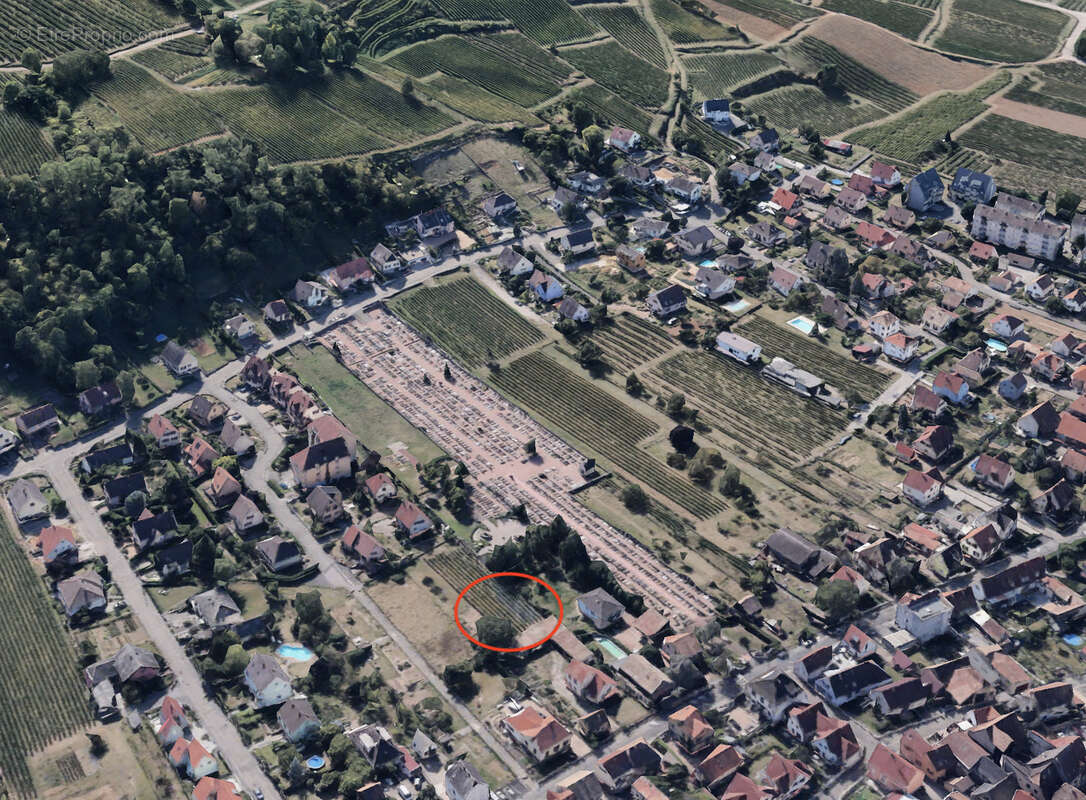 Terrain à WINTZENHEIM