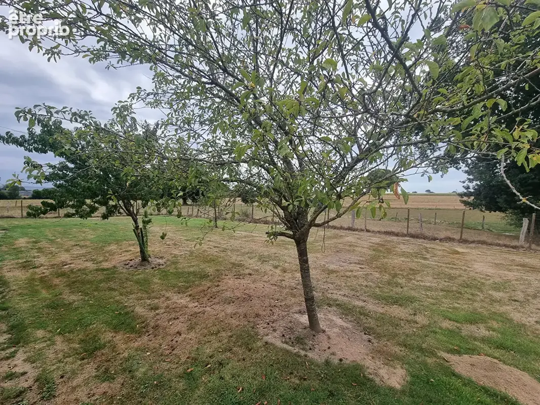 Maison en pierre SAINT OVIN - photo 18