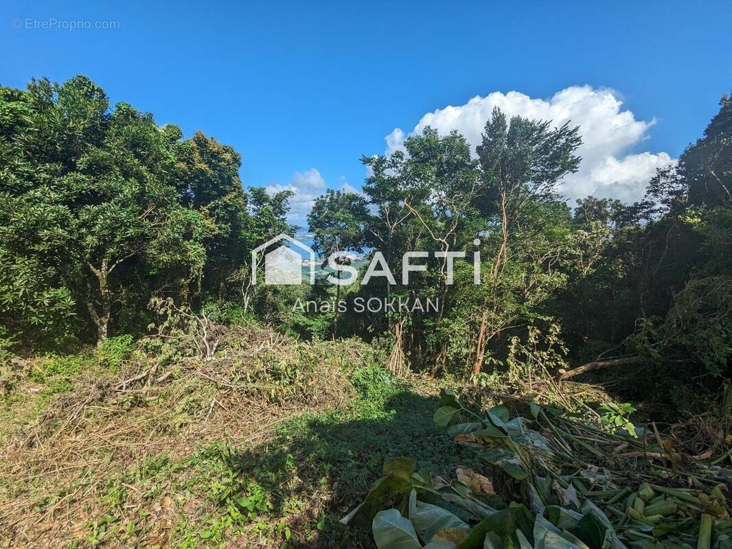 Photo 1 - Terrain à LES TROIS-ILETS