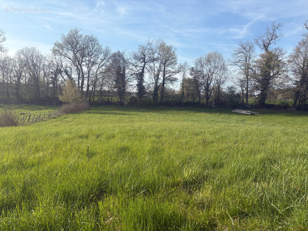 Terrain à SAINT-VIANCE