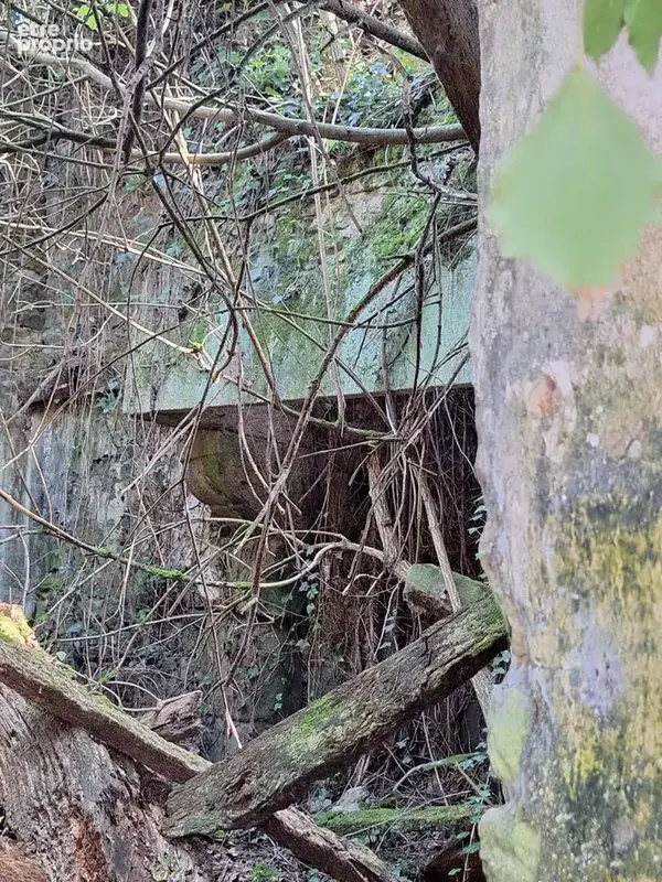 Terrain non constructible avec bâtisse en pierres en ruine, pour jardin ou espace de loisirs - photo 10