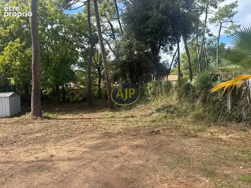Terrain Bretignolles Sur Mer 465 m2 - photo 3