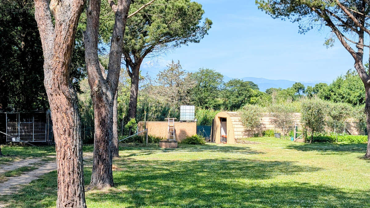 Terrain à LAROQUE-DES-ALBERES