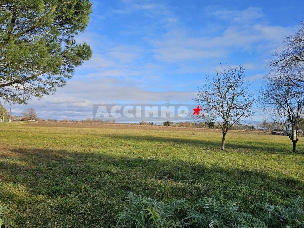 Terrain à GAILLAC