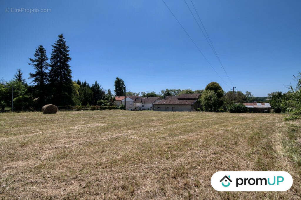 Terrain à MALAUSE