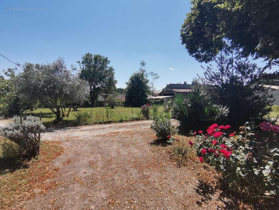 Photo 5 - Maison à REIGNAC