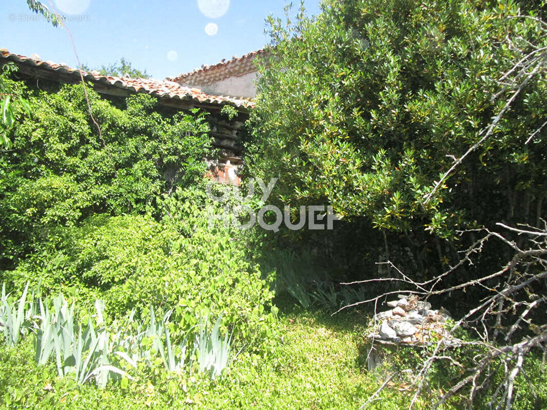 Corps de ferme - photo 8