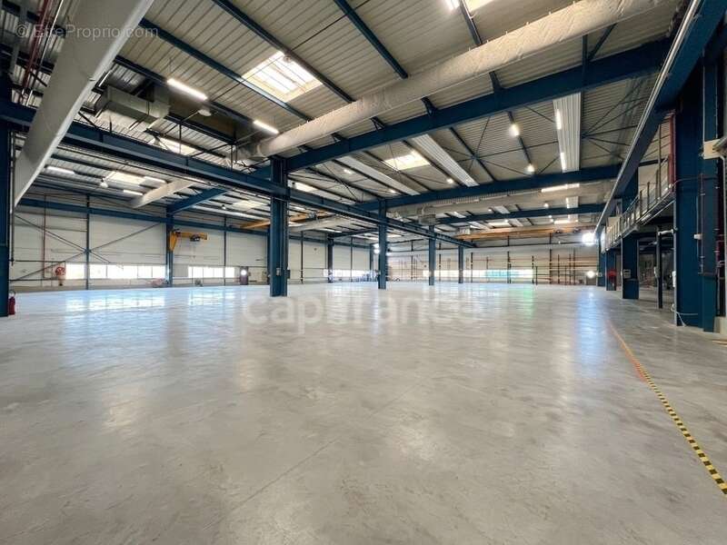 Commerce à CHEVANCEAUX