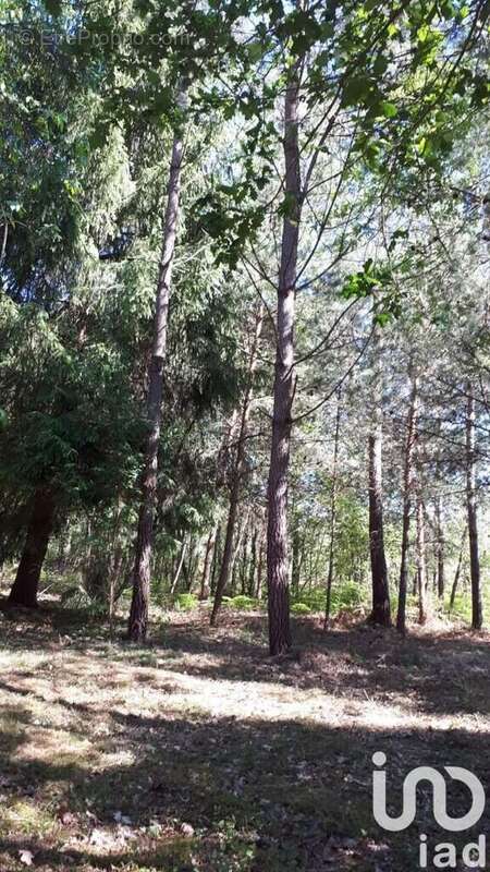 Photo 4 - Terrain à BAUGE