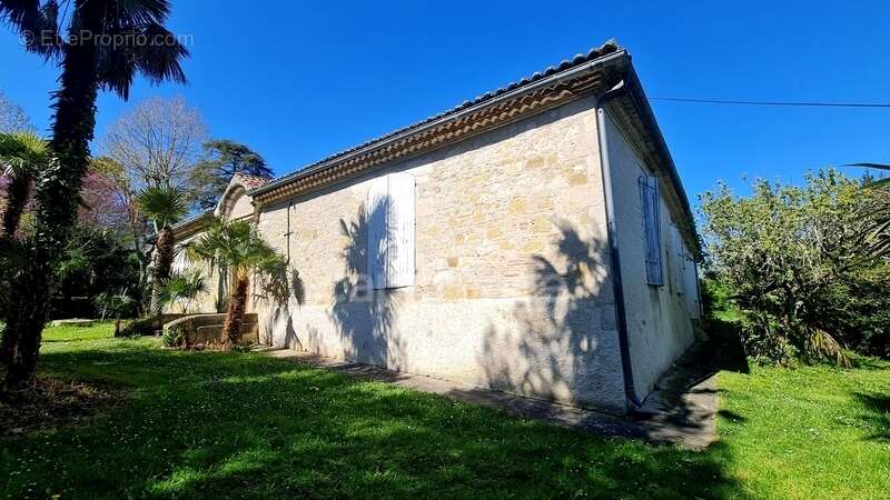 À vendre : Propriété à restaurer, à 10 mn d'Auvillar, d'environ 240 m2 habitables, sur terrain de 7400 m2  (82) - photo 4