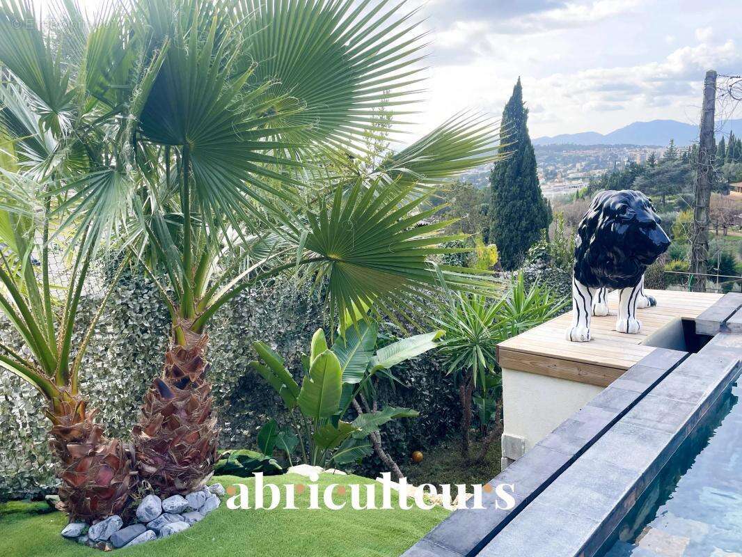 Villa d’exception - Vue mer panoramique - Piscine - en vente au Cannet (06110) - photo 5