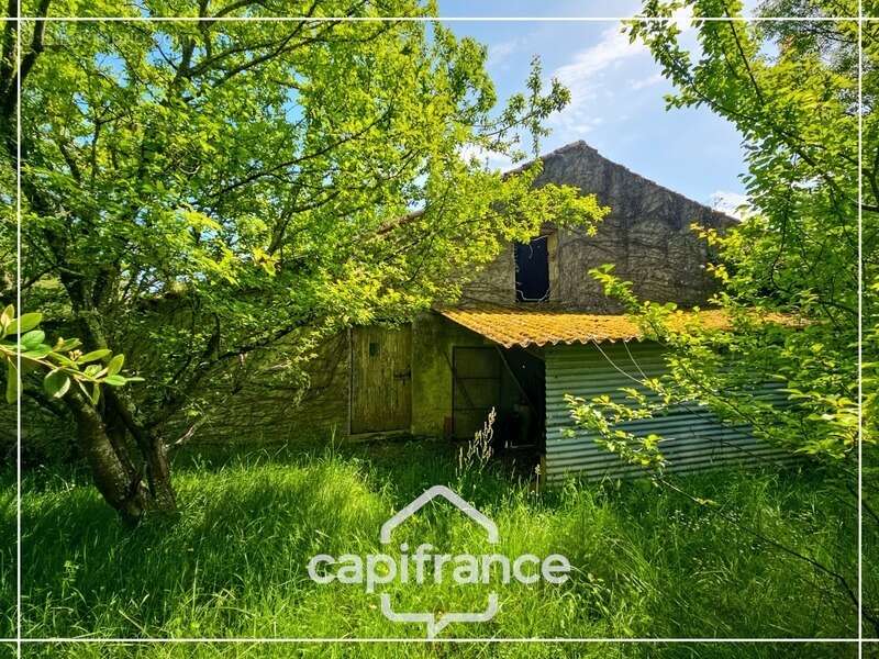 Maison à CASTELCULIER