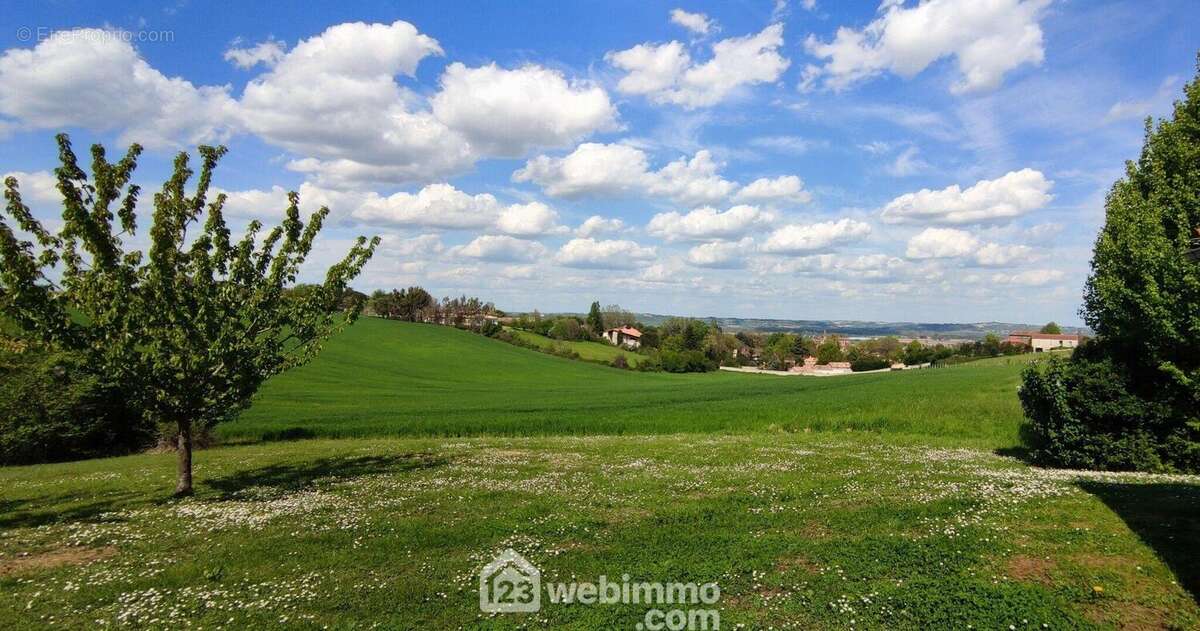 Maison 155 m² à Auvillar  - photo 57