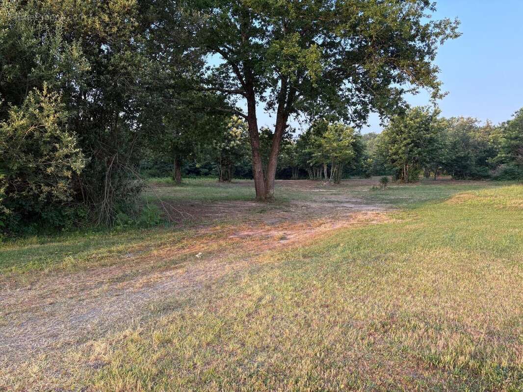 Photo 7 - Commerce à LACQUY