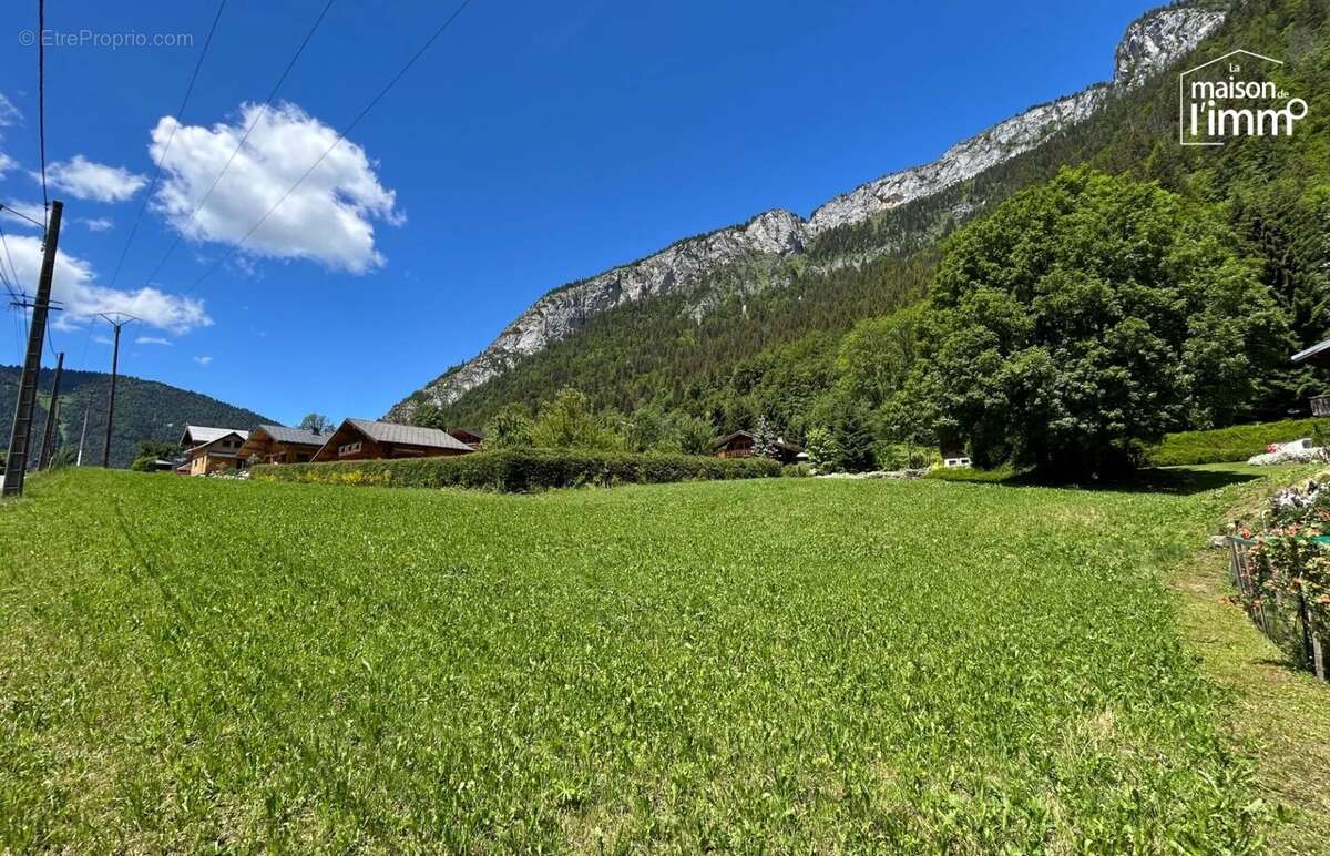 Terrain à ABONDANCE