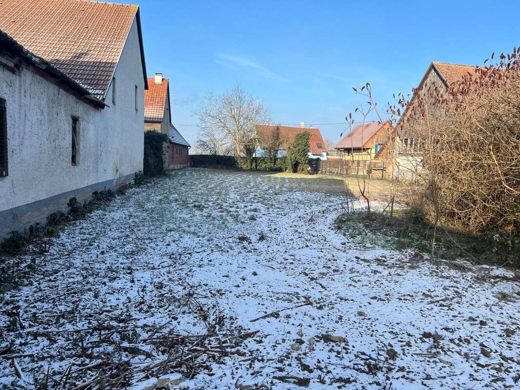 Terrain à GRUSSENHEIM