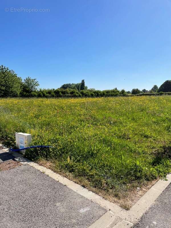 Terrain 778 m² à Bertry  - photo 3