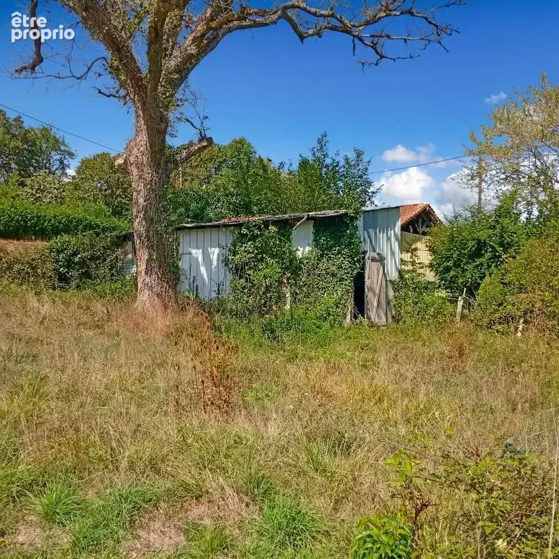 Maison À Vendre - photo 13