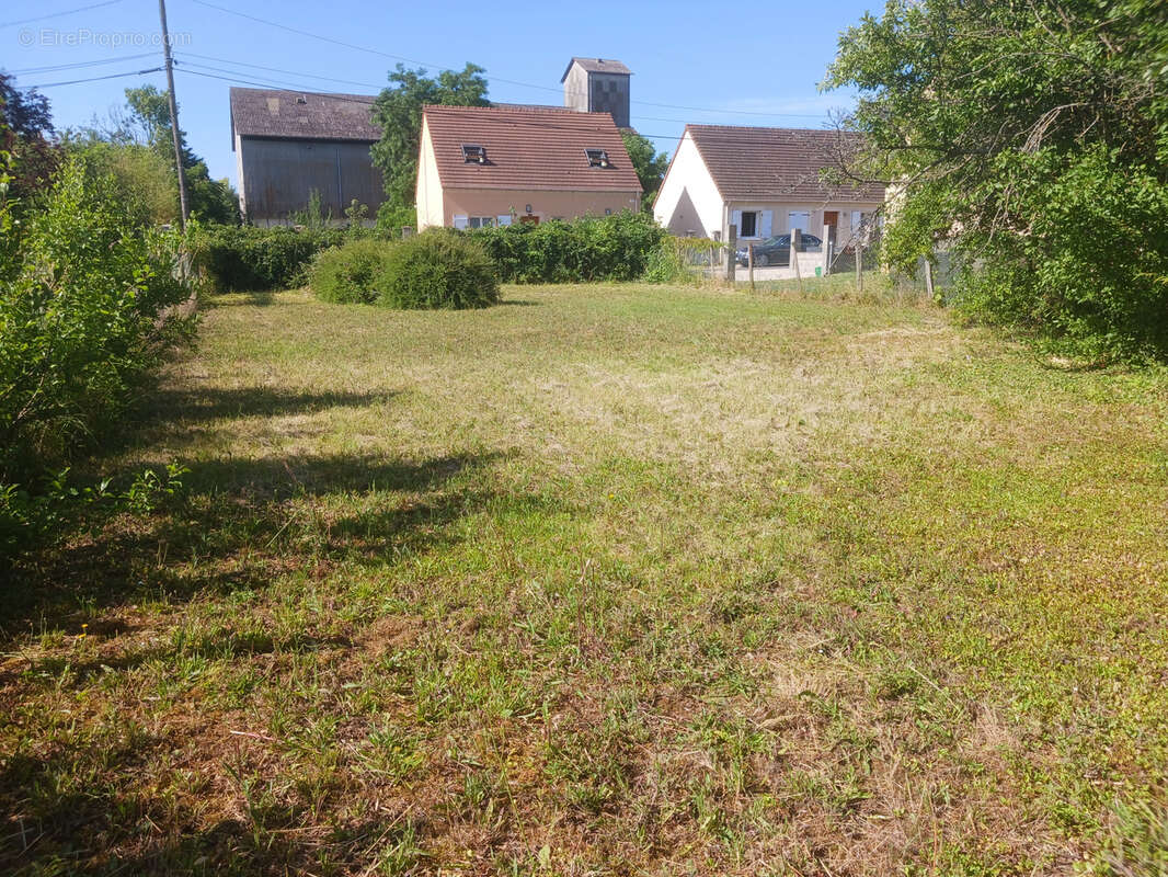 Terrain à PUISEAUX