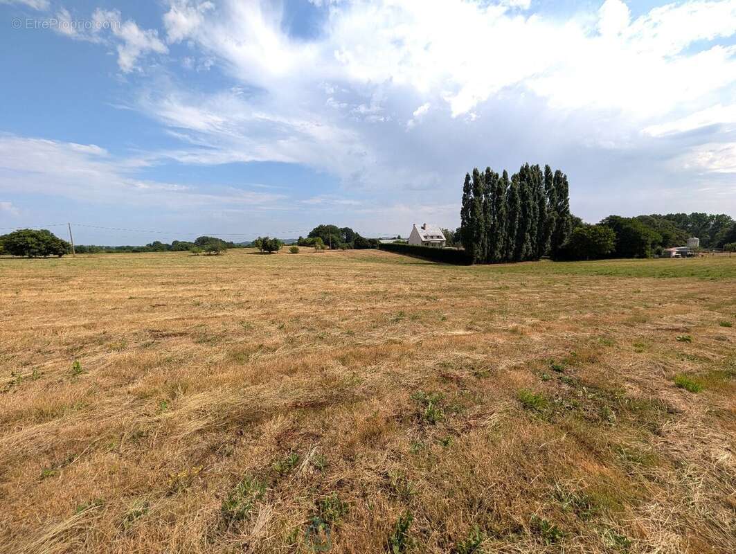 Propriété sur 27 hectares, maison 179 m2, bâtiments de 700 m2 salle de réception et 600 m2 garage - photo 29