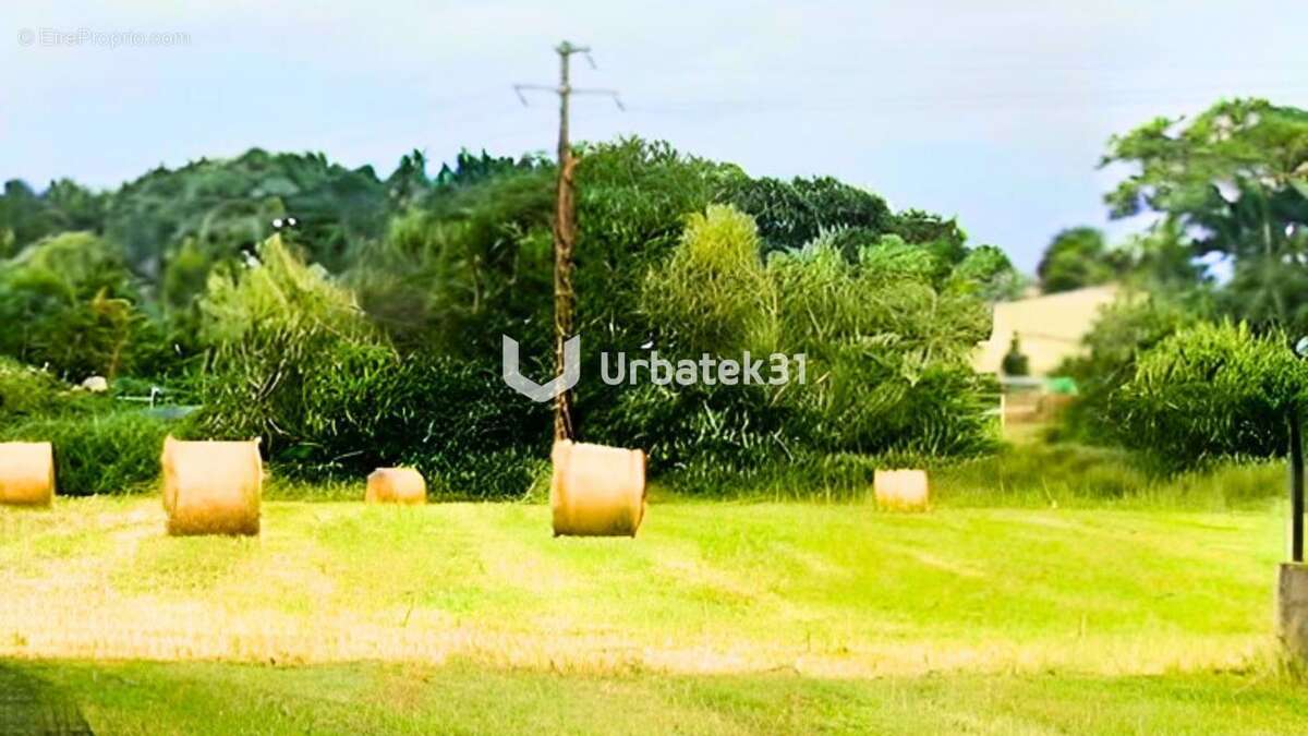 Terrain à SAINT-OUEN-DES-ALLEUX