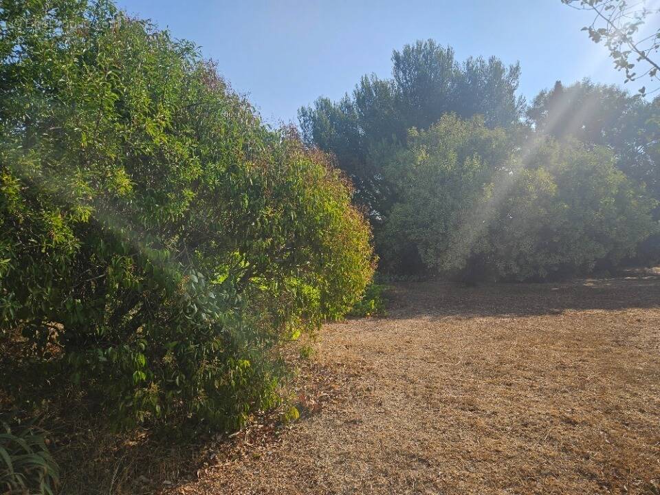 Terrain 450 m² à Les Pennes-Mirabeau  - photo 1