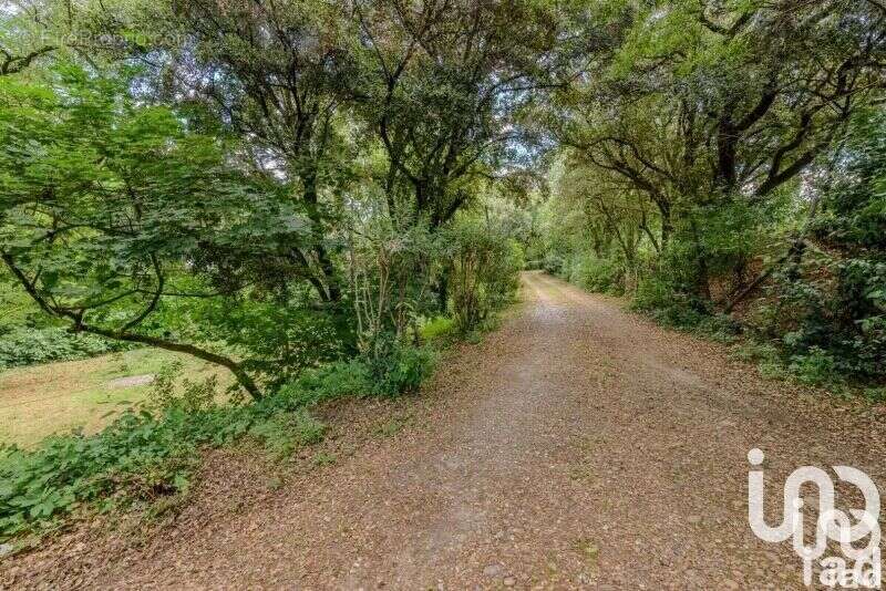 Photo 5 - Maison à BOUILLARGUES